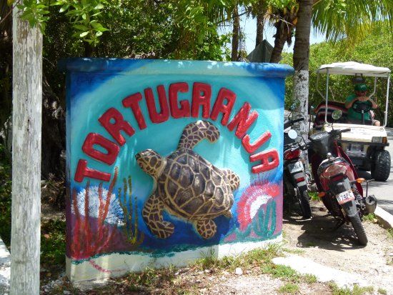 Playa Coral Cancun
